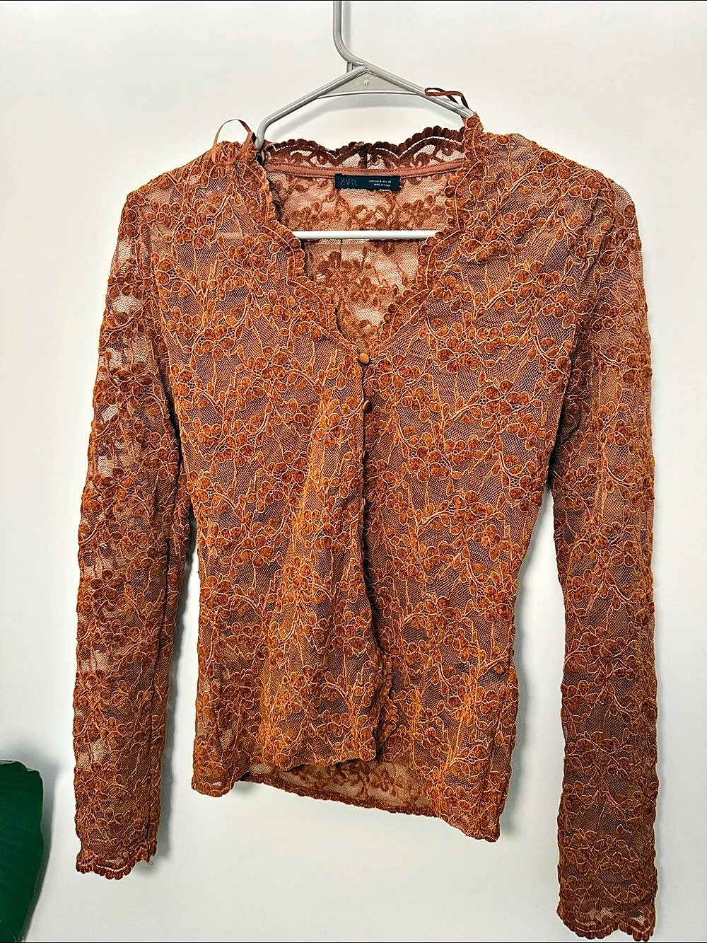 Zara Floral Lace Long Sleeve Top in Brown Size Medium